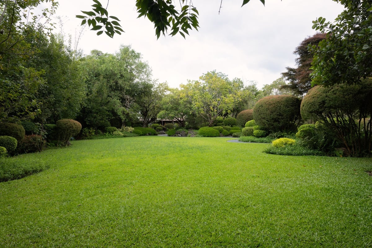 A neatly maintained green lawn and landscaped grounds surrounded by trees at a commercial property